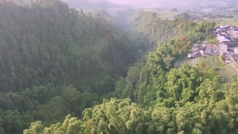 footage-of-forest-on-the-slopes-of-a-mountain