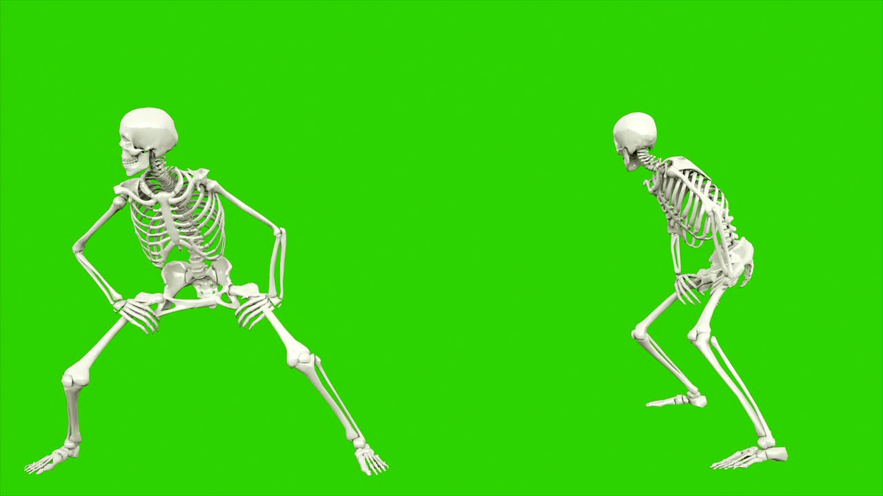 danza dello scheletro. animazione a loop senza soluzione di continuità sullo schermo verde.
