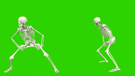 skeleton dancing. seamless loop animation on green screen.