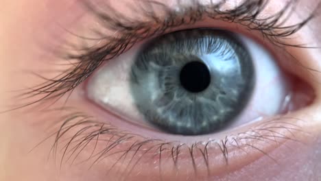 extreme closeup of a child with gray eyes