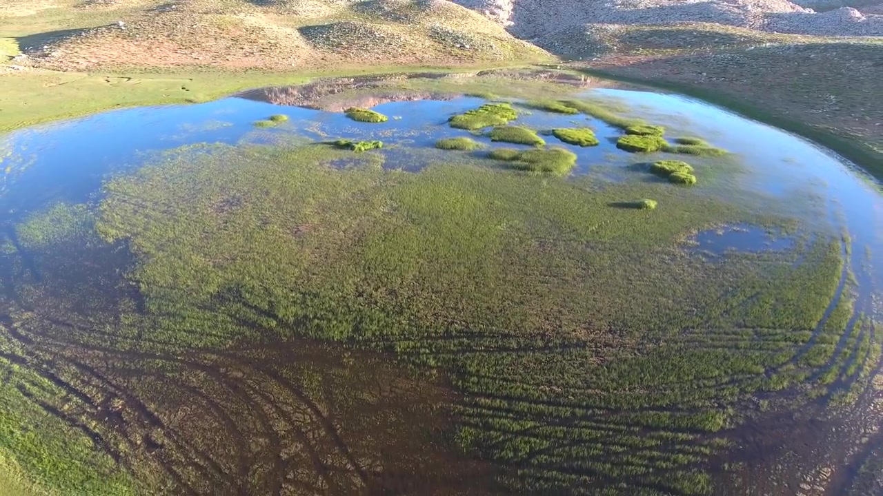 Vista aerea di uno stagno poco profondo in una zona umida, in un paesaggio erboso