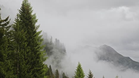moody grey clouds drift over alpine mountain pine forest landscape