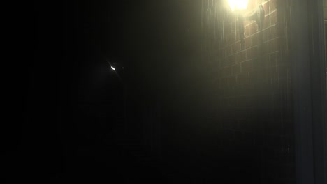 illuminated house lamp during a heavy rain storm.