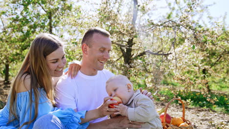smiling caucasian parents look at how their little baby boy trying to bite a big apple. family of three spend their time together in the spring garden.