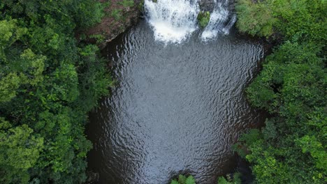 un pozo aislado para nadar en un oasis y una cascada escondida en lo profundo de una exuberante selva tropical