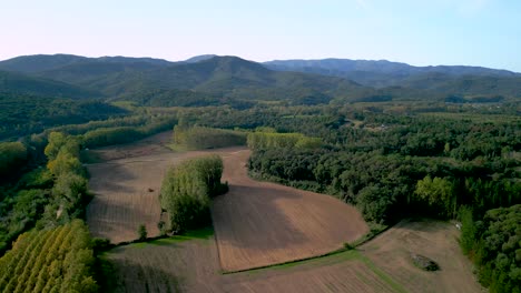 Field-for-land-cultivation-with-trees-and-mountains-in-the-background-on-the-side-of-a-river