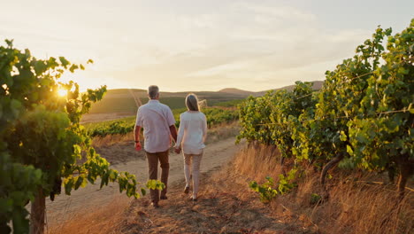 couple walking through a vineyard at sunset