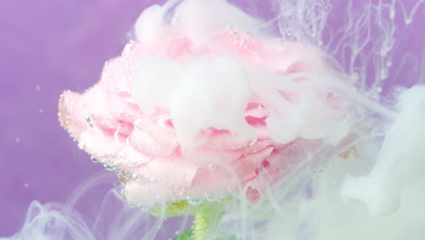 pink rose in water with bubbles and smoke