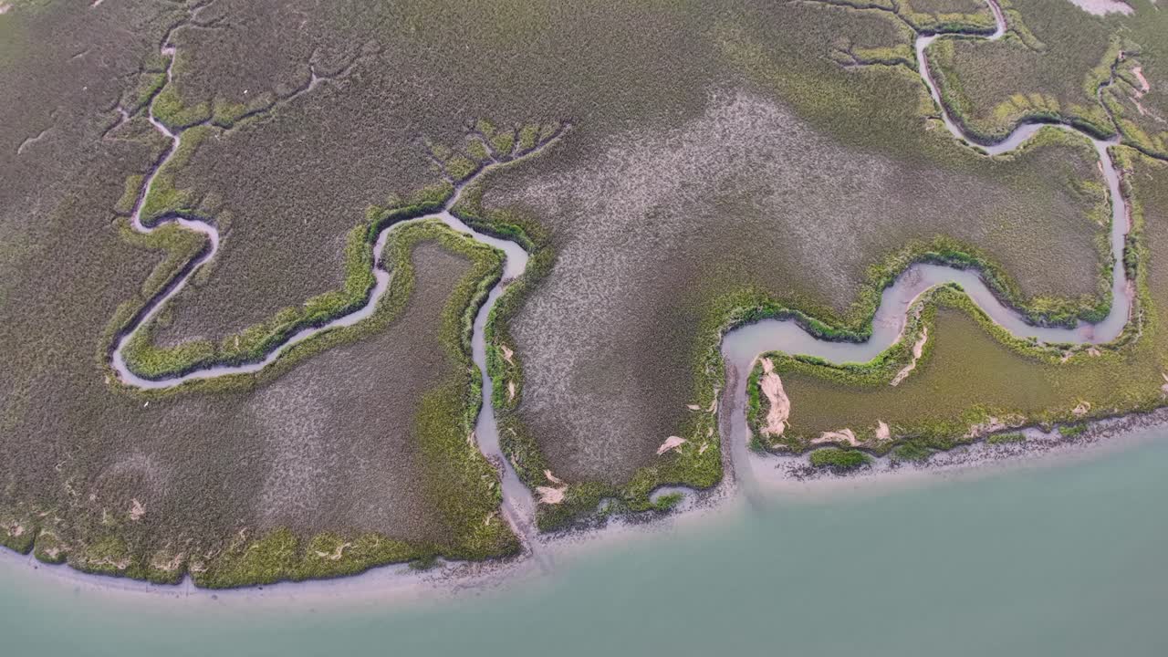 Drone footage of winding tidal creeks cutting through a lush salt marsh along the South Carolina coast