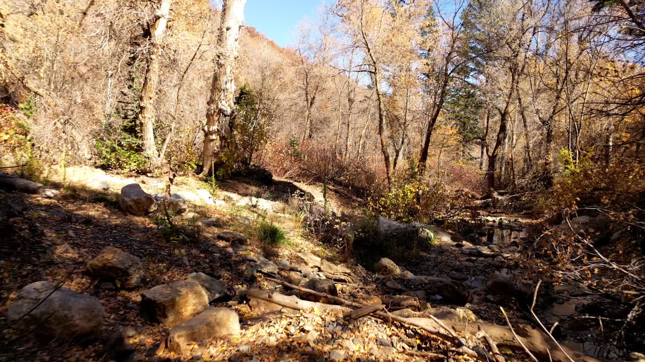 아름다운 벌거벗은 나무와 주위의 가을 색과 함께 계절을 위해 건조하는 강 바닥의 드론 을 통해 날아