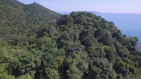 aerial shot of jungle rain forest, mountains and ocean