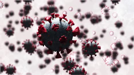 animation of 3d macro coronavirus cells spinning on white background. global coronavirus covid 19 pa