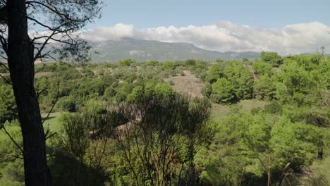 tiro revelador inclinado, desde el suelo hasta la hermosa vista de la montaña parnitha, atenas, grecia, soleado día de otoño de octubre de 2020 4k