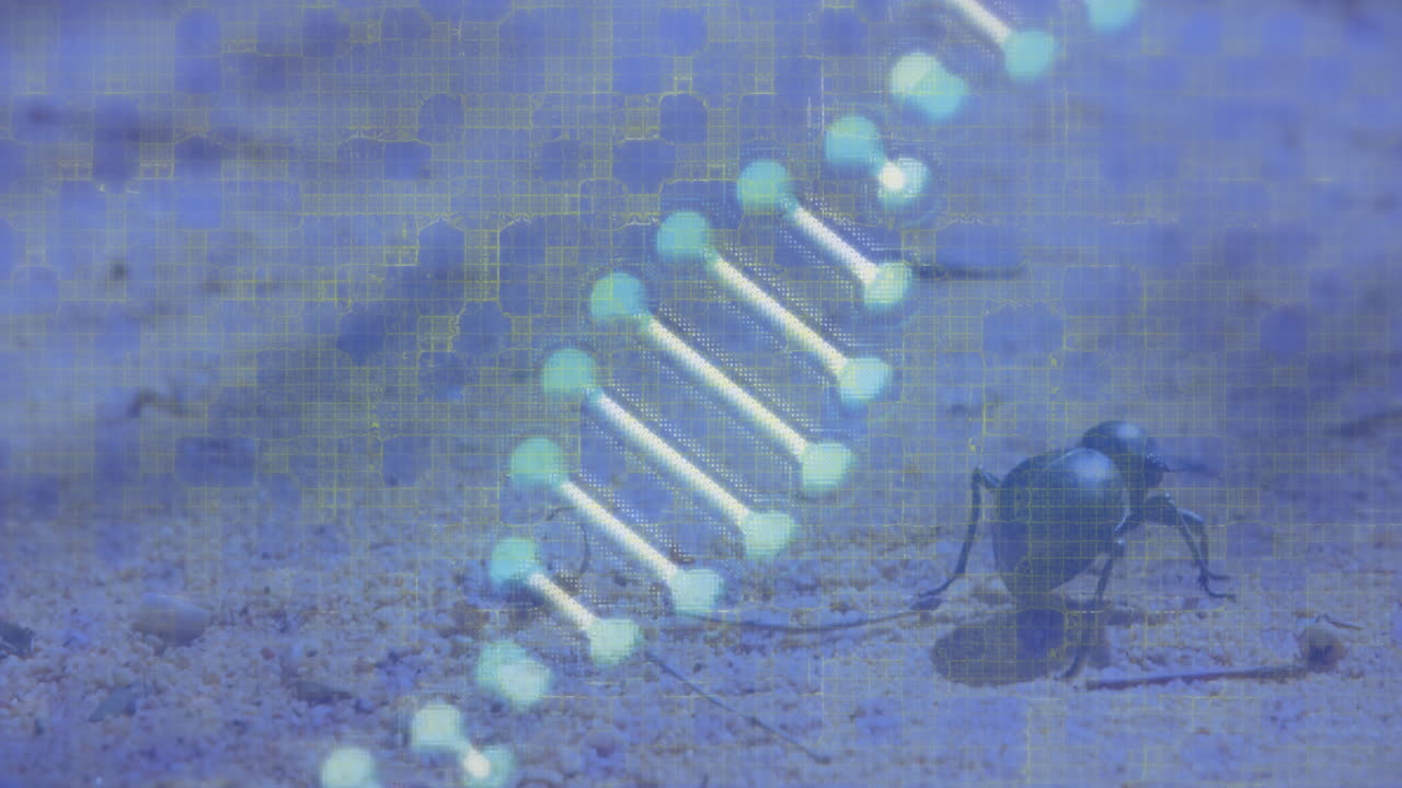 버그 위에 회전하는 dna 가닥의 애니메이션