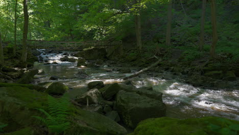 tranquil forest stream with rocks, bridge, and lush greenery, soft sunlight