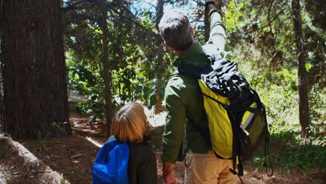 padre e hijo haciendo senderismo con palos de trekking