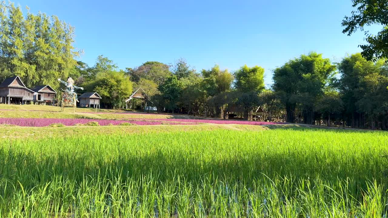 은 푸른 하늘 아래 푸른