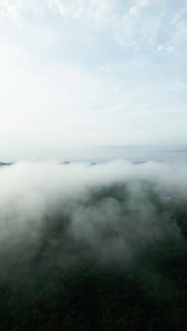 아리엘 드론 뷰 안개가 가득한 아침 해가 지고 푸른 숲이 세메파디 해안 도로 링크 사라와크, 보르네오에 있습니다.