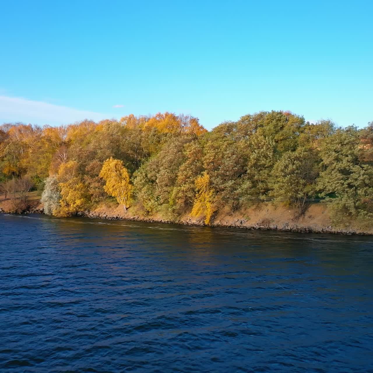 Aerial view of autumn forest and river