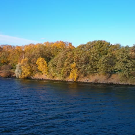 aerial view of autumn forest and river