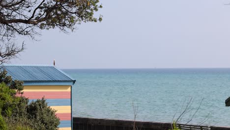 beach box with ocean and trees in background