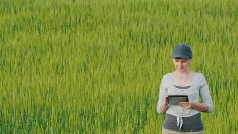 woman farmer with tablet in hand stands on field among wheat ears