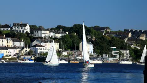 sailboats on the river tamar between devon and cornwall on a beautiful summers day in england