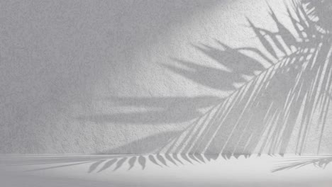 white textured wall with palm frond shadow waving in wind on back