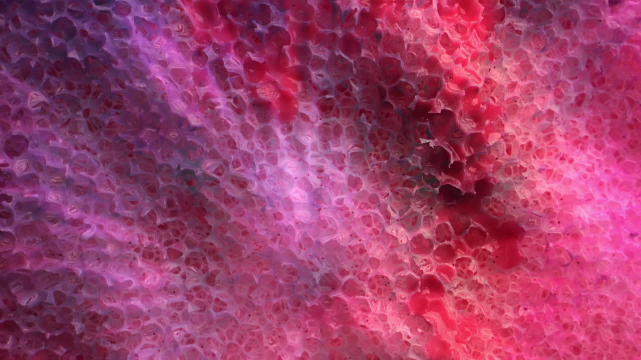 Abstract Pink and Purple Foam Texture
