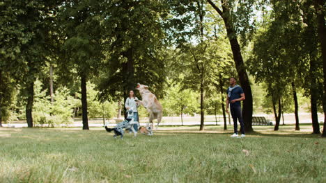 Pareja-Con-Mascotas-Al-Aire-Libre