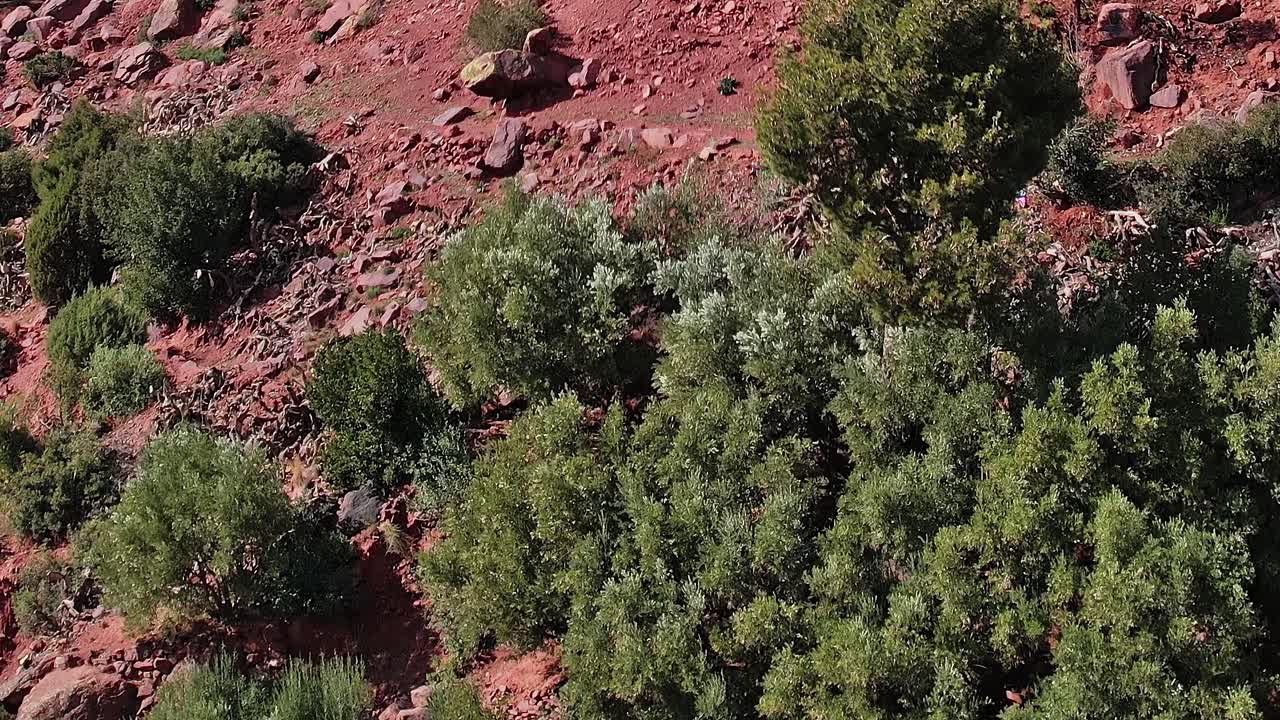 Luftfoto af grønne planter og rød jord i Marokko