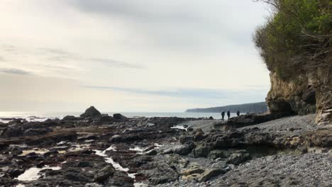 Gruppe-Von-Menschen,-Die-An-Einem-Bewölkten-Tag-Den-Juan-De-Luca-Marine-Trail-In-Der-Zerklüfteten-Küste-Nahe-Dem-Meer-Wandern,-Sombrio-Beach,-Britisch-Kolumbien,-Kanada