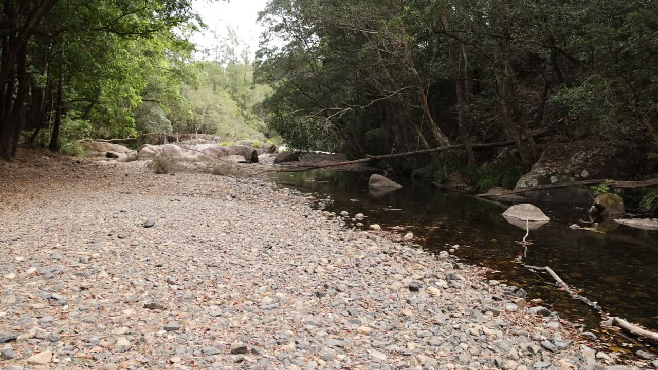 River gradually fills and recedes in a forested area