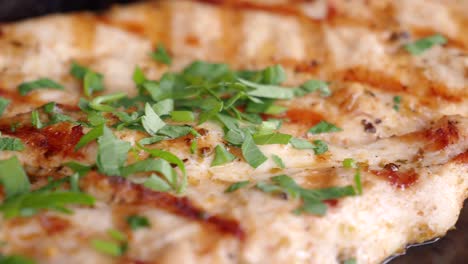 grilled chicken breast with parsley