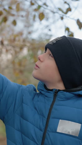 niño blanco en chaqueta azul azota rama seca de un árbol juguetón, haciendo que las hojas caigan a su alrededor, mientras está de pie en el bosque con el follaje de otoño en el fondo