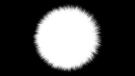 the turning fluffy ball. 4k resolution. looping. alpha channel.