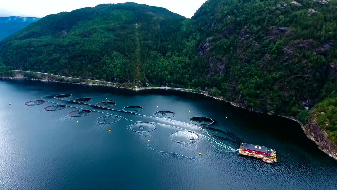 노르웨이에서 연어  ⁇ 시를 하는 공중 촬영