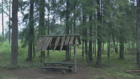viejo refugio de madera en el bosque