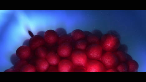 burning berries