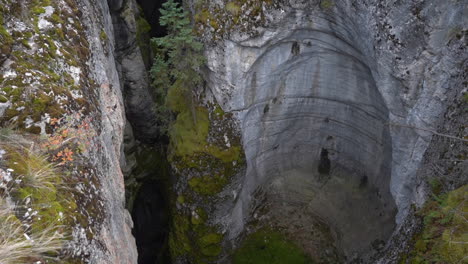 maligne canyon, natural wonder of jasper national park, alberta, canada, caves and cliffs in autumn landscape