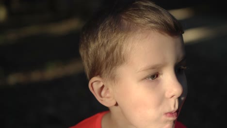 boy in a red t-shirt eats cookies 03