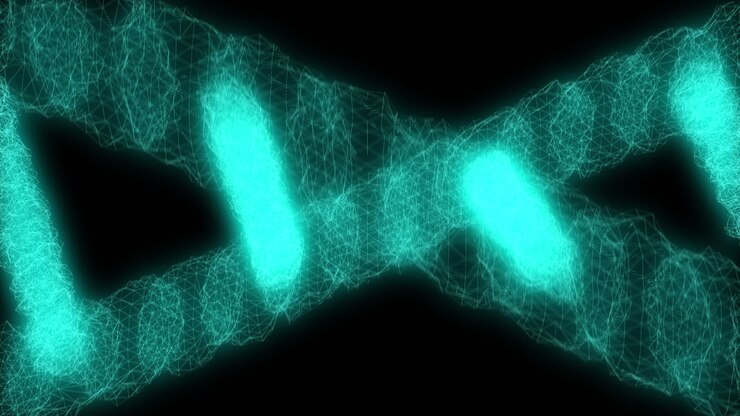 Visualizzazione della struttura del DNA