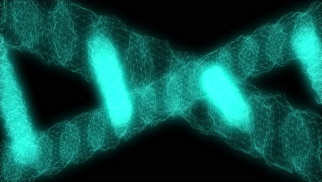 dna structure visualization