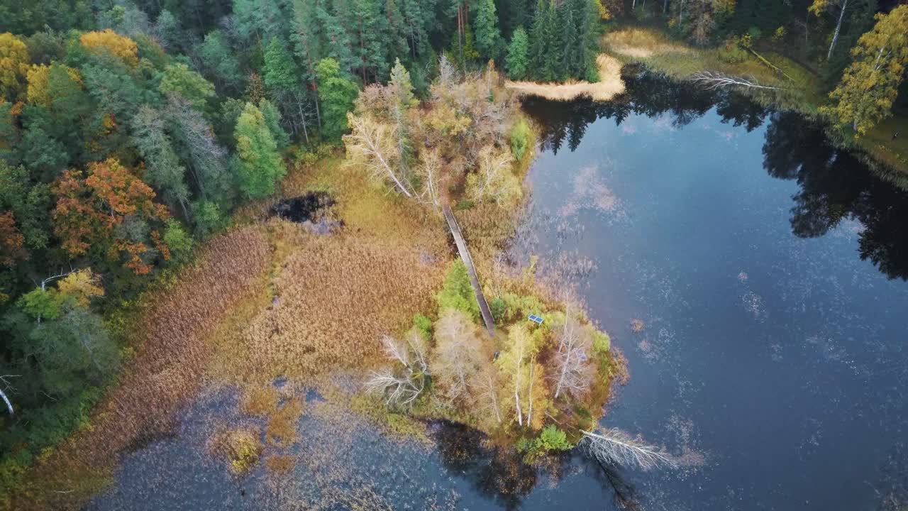 Aerial View of Green Pine and Spruce Conifer Treetops Forest and Kalnmuiza lake in Latvia