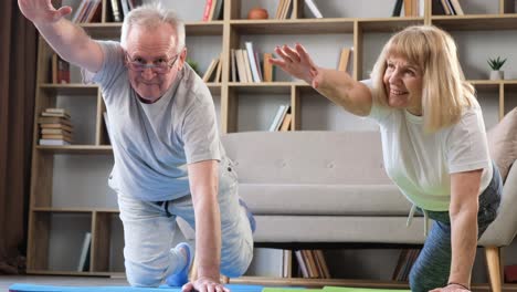 Grandparents Doing Gymnastics and Yoga at Home in the Living Room Sunny Morning Grandparents Doing Gymnastics and Yoga at Home in the Living Room Sunny Morning Healthy Lifestyle Fitness Recreation