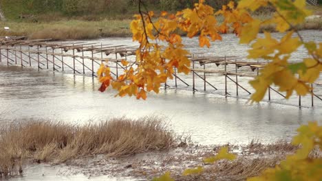 wooden bridge over the river