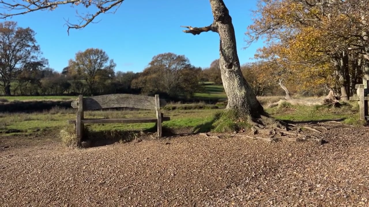Naturskjønn høsteng ved Manor Farm Country Park i Hampshire, med et rustikt tregjerde, et modent tre og et fredelig landskap på landsbygda under klar blå himmel
