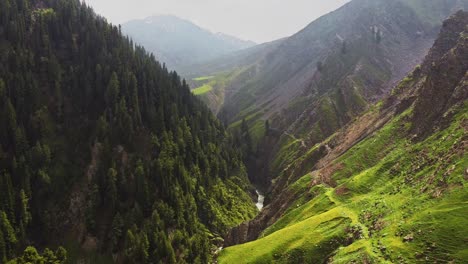 vista aérea del valle montañoso con pinos y prado verde cerca de la carretera mughal, peer ki gali, cachemira