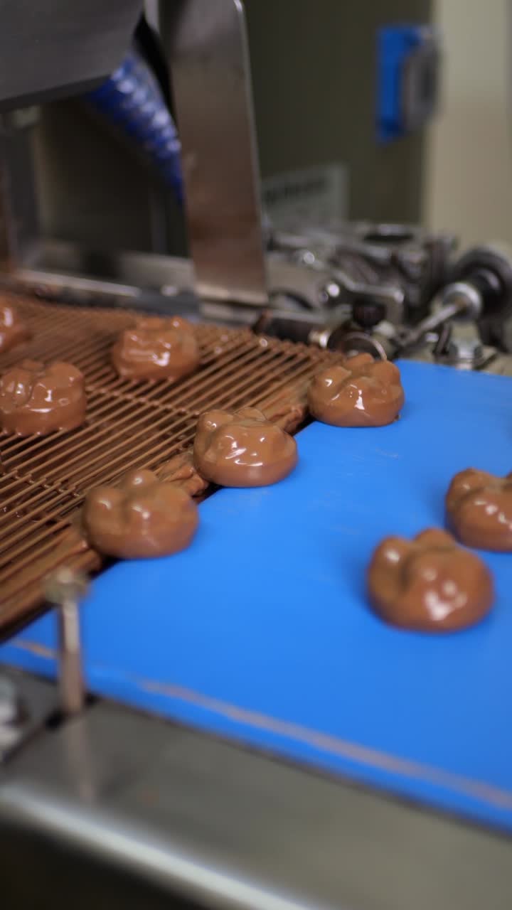 Sweets covered with chocolate and blown by the airflow on production line. Chocolate factory.