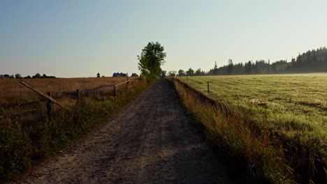 Unbefestigte-Straße-Zwischen-Grasfeldern-Mit-Altem-Umgestürzten-Zaun